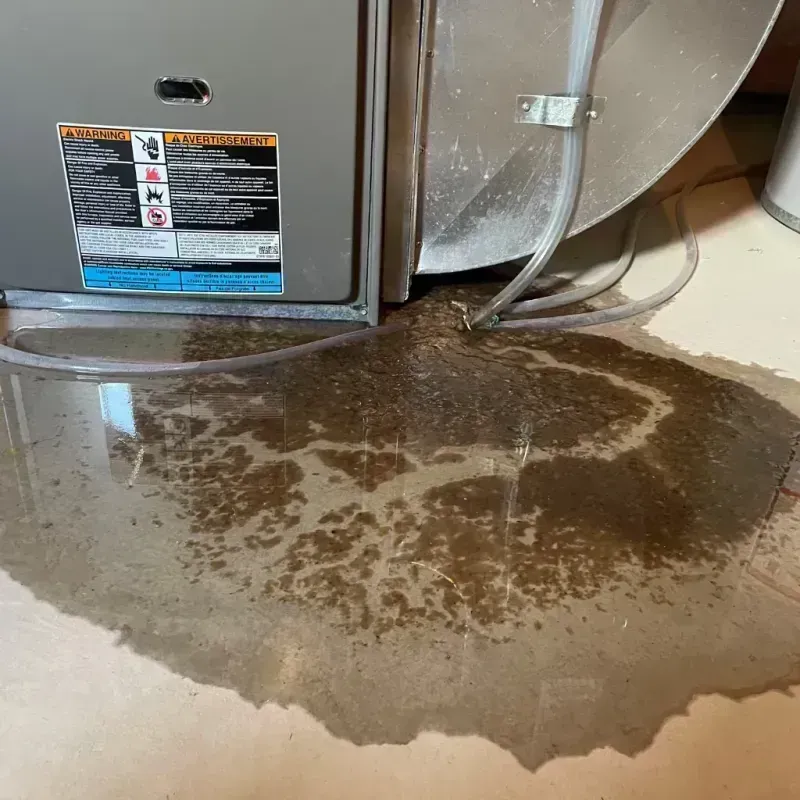 Appliance Leak Cleanup in Caruthers, CA